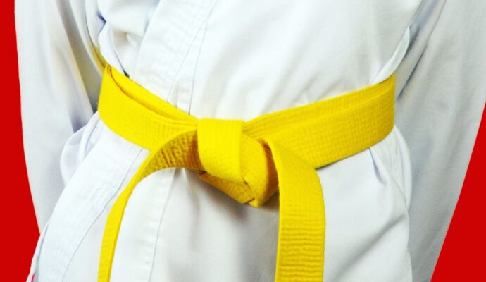 LSS Wisconsin-Lean Six Sigma Yellow Belt